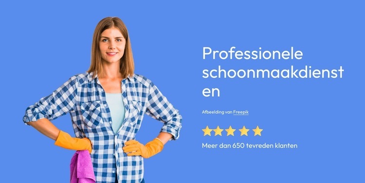 Professionele schoonmaakdiensten Sjabloon