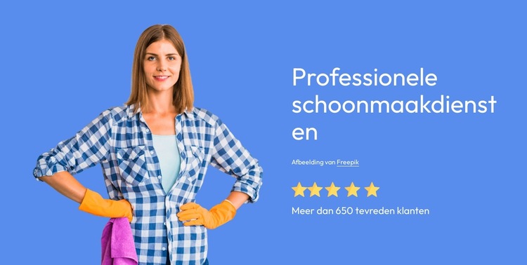 Professionele schoonmaakdiensten Website sjabloon