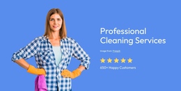 Professional Cleaning Services