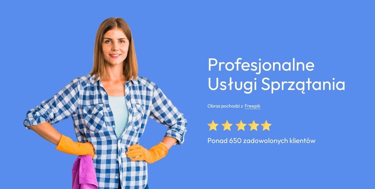 Profesjonalne usługi sprzątające Szablon witryny sieci Web
