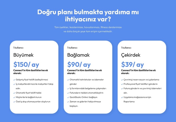Her müşteri için esnek planlar Web Sitesi Şablonu