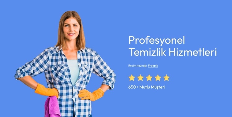 Profesyonel temizlik hizmetleri Web sitesi tasarımı