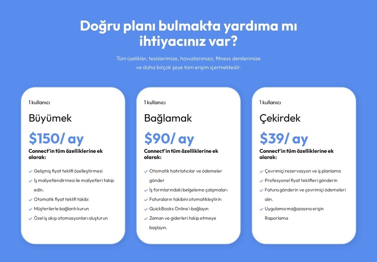 Her müşteri için esnek planlar WordPress Teması