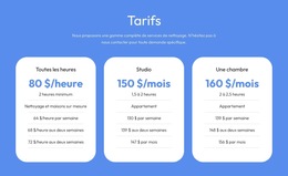 Solutions De Conseil Abordables Modèle De Site Web