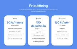 Prisvärda Konsultlösningar Webbplats Mall