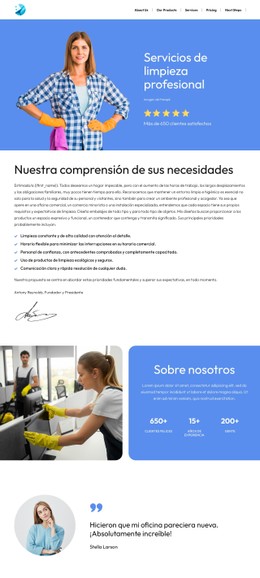 Propuesta De Limpieza Plantilla De Tienda