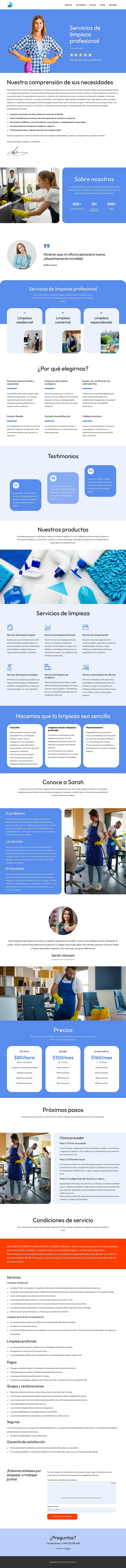 Propuesta de limpieza Plantilla de sitio web