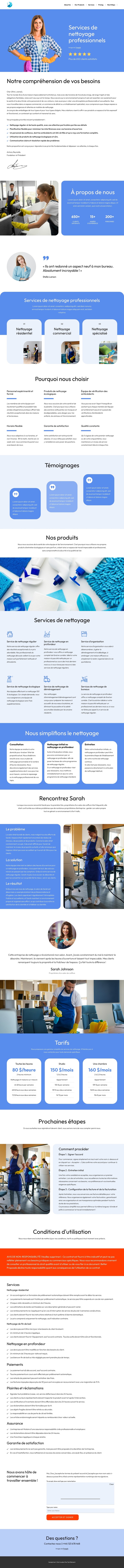 Proposition de nettoyage Modèle de site Web