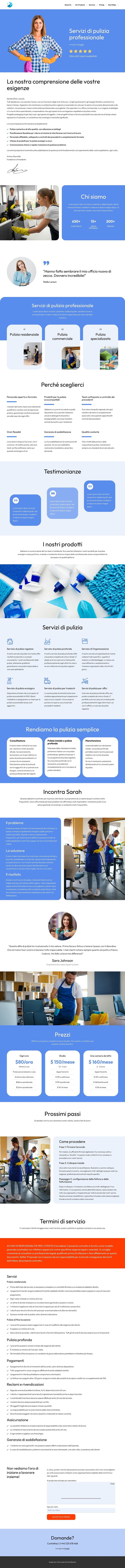 Proposta di pulizia Modello di sito Web