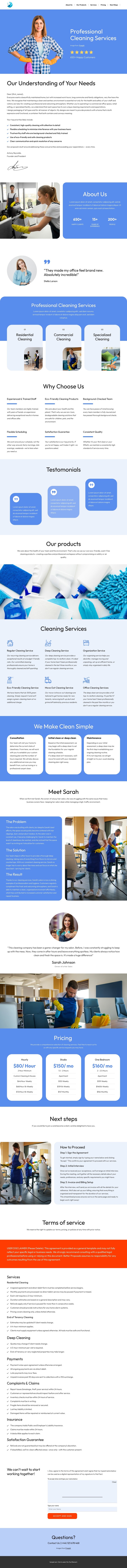 Cleaning proposal WordPress Theme