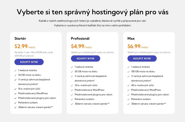 Hostingový plán Šablona HTML