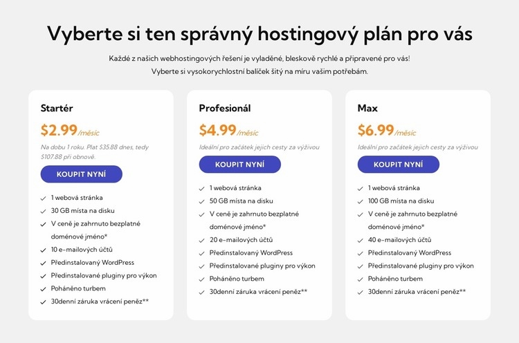 Hostingový plán Šablona