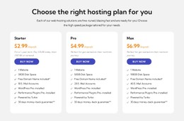 Hosting Plan