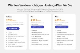 Hosting-Plan