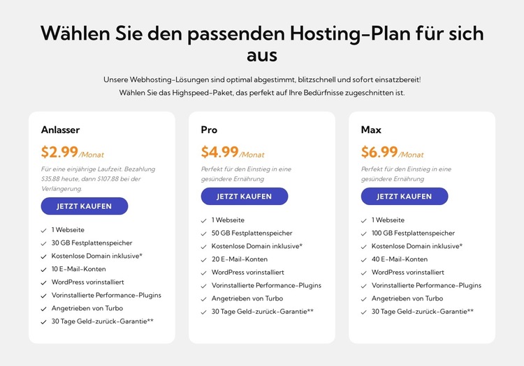 Hosting-Plan Website-Vorlage