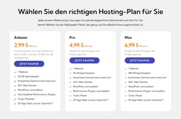 Hosting-Plan