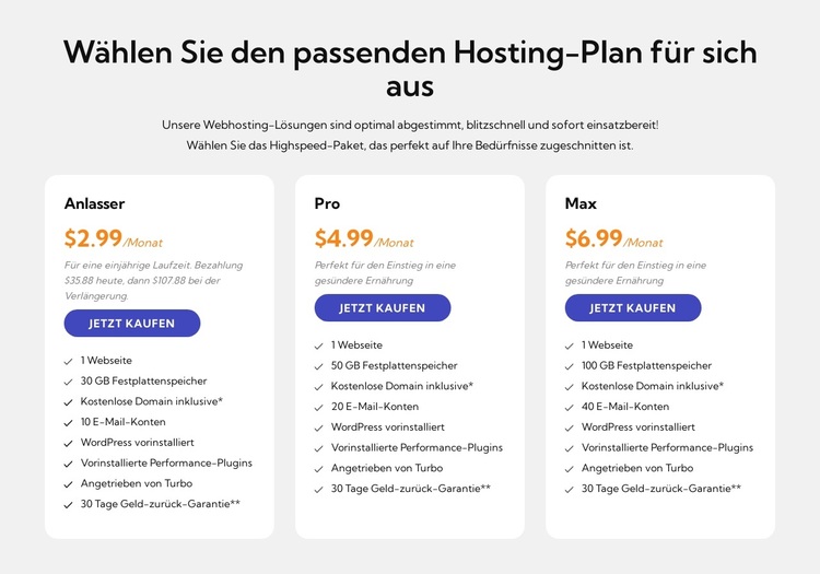 Hosting-Plan WordPress-Theme