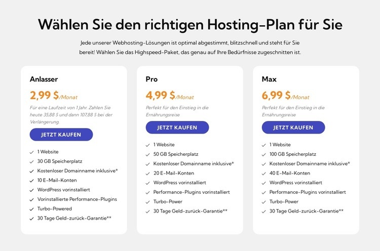 Hosting-Plan Landing Page