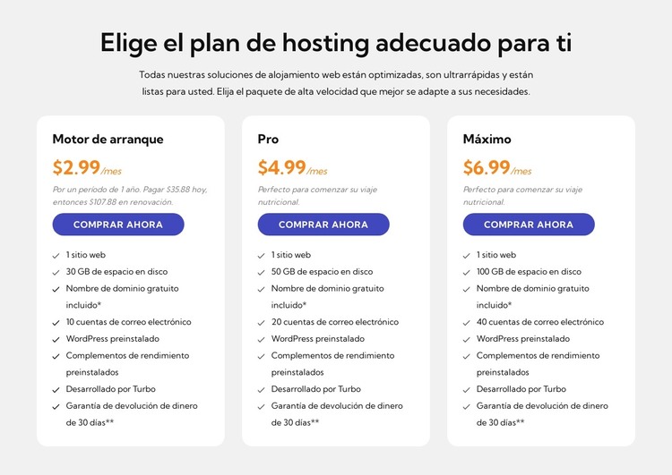 Plan de alojamiento Plantilla HTML