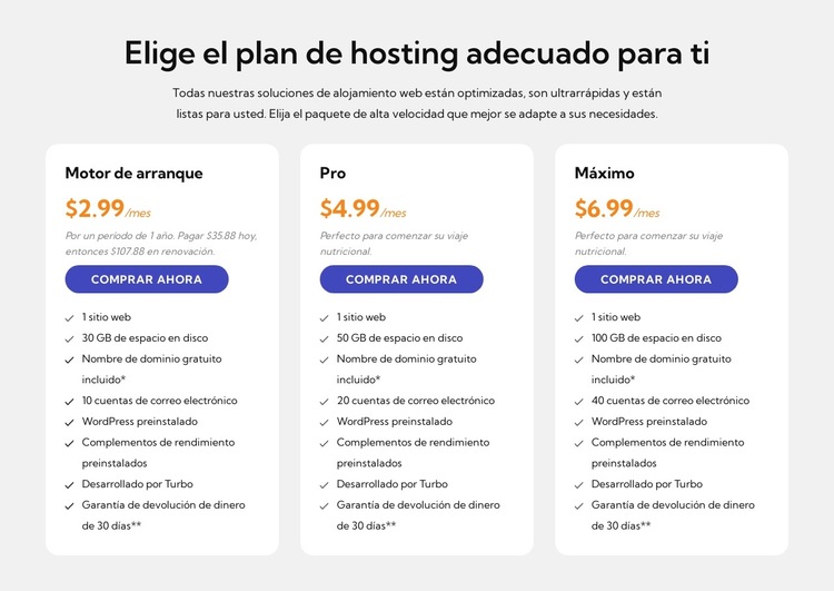 Plan de alojamiento Plantilla de sitio web
