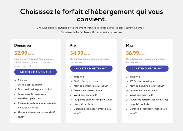 Plan d'hébergement Thème WordPress