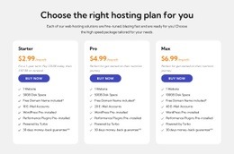 Hosting Plan