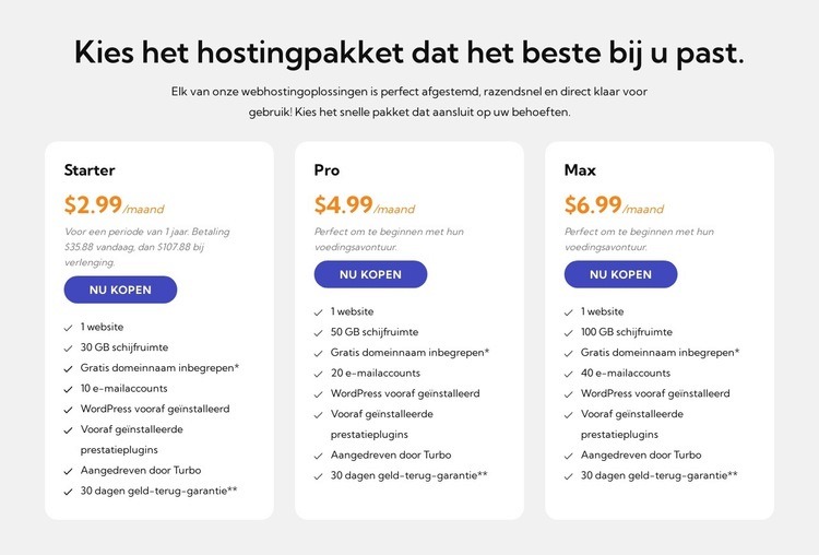 Hostingplan Website ontwerp
