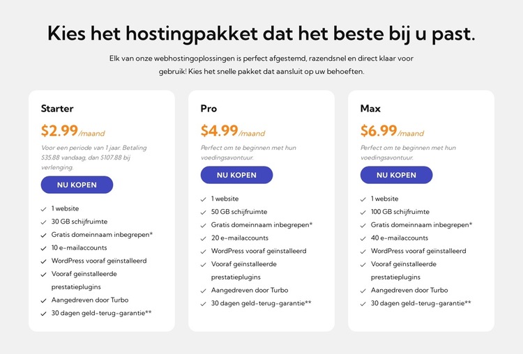 Hostingplan Website sjabloon