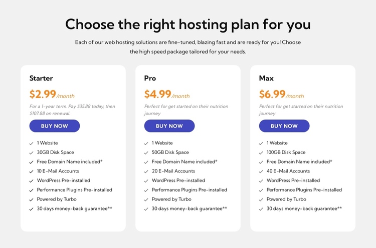 Hosting plan One Page Template