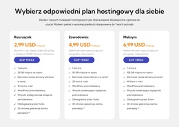 Plan Hostingowy