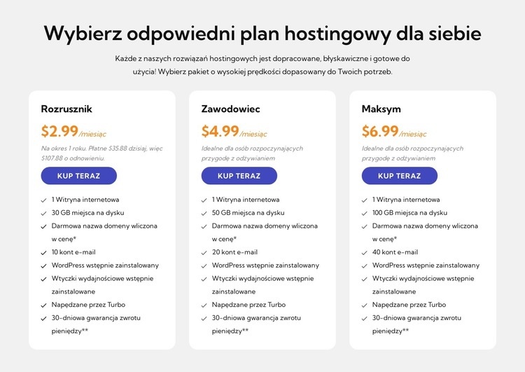 Plan hostingowy Projekt strony internetowej