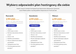 Plan Hostingowy