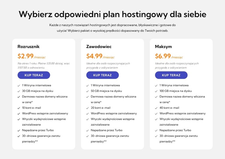 Plan hostingowy Szablon CSS