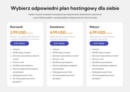 Plan Hostingowy