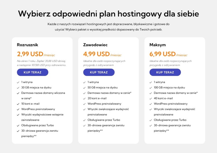 Plan hostingowy Szablon HTML