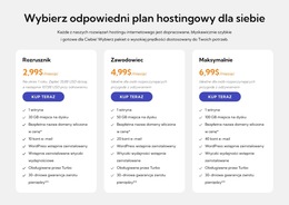 Plan Hostingowy