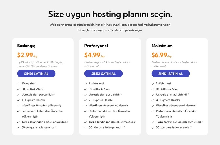 Barındırma planı Web Sitesi Şablonu