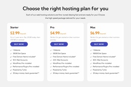 Hosting Plan Website Design