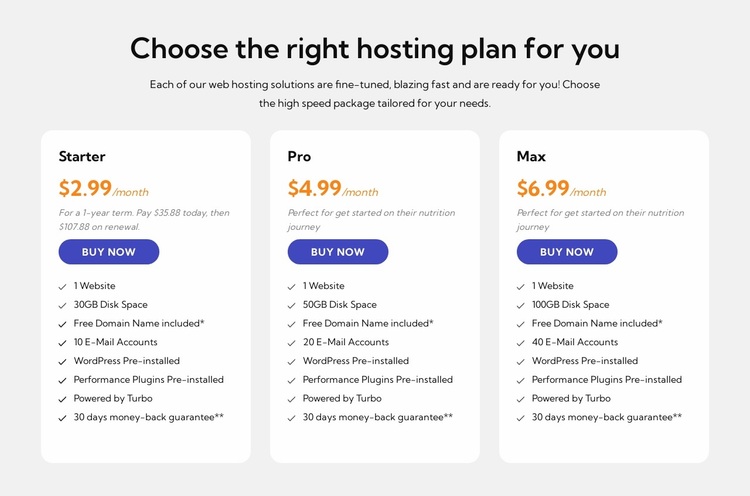 Hosting plan Website Design