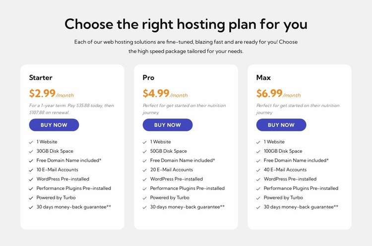 Hosting plan Website Mockup