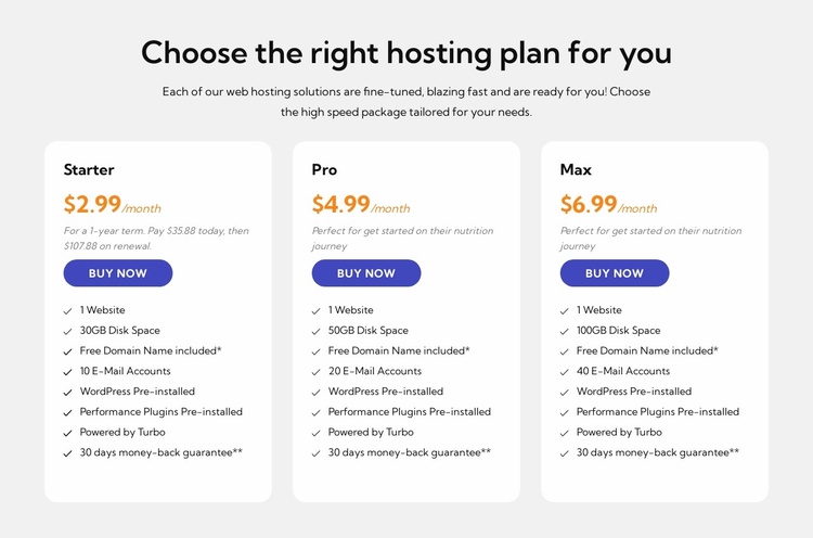 Hosting plan Landing Page