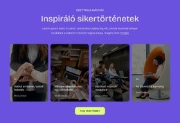 Sikertörténetek