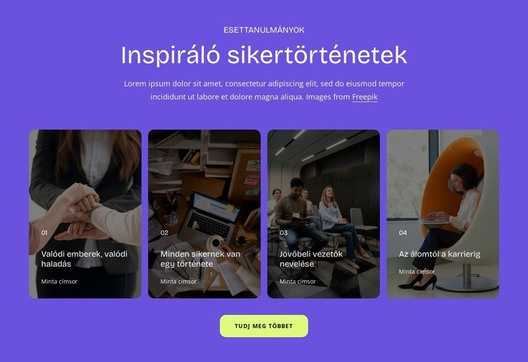 Sikertörténetek Weboldal sablon