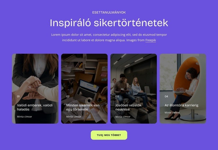 Sikertörténetek Weboldal tervezés