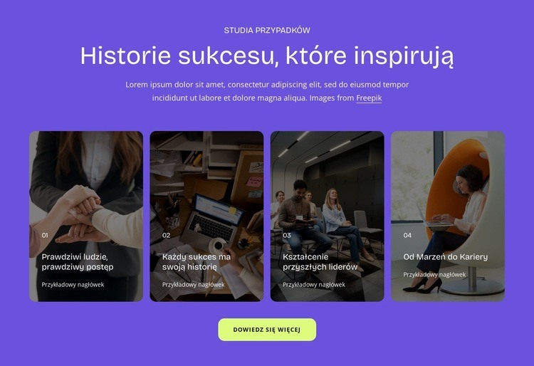 Historie sukcesu Projekt strony internetowej