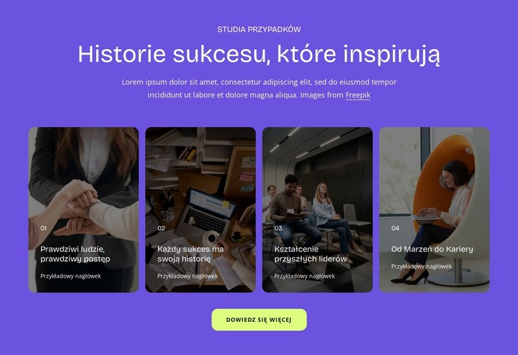 Historie sukcesu Szablon CSS