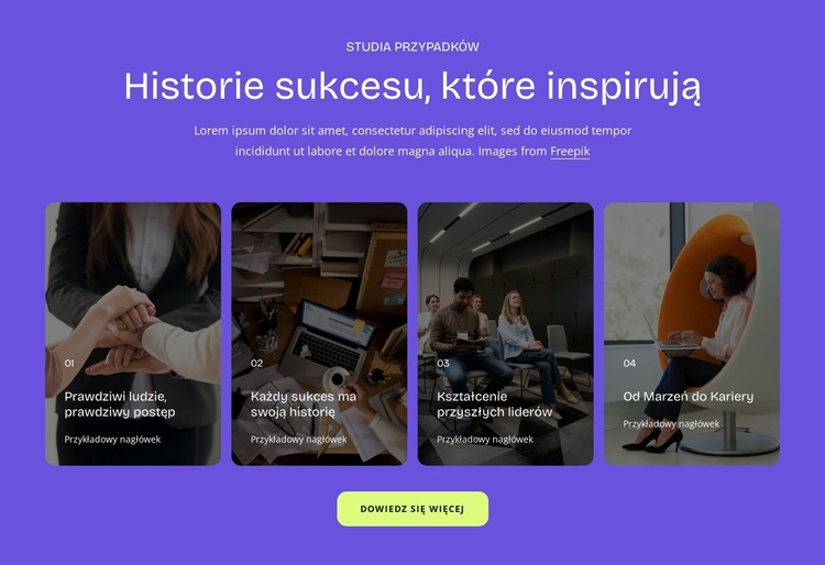 Historie sukcesu Szablon witryny sieci Web