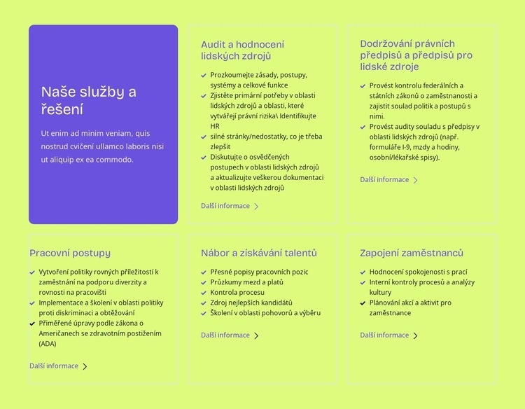 Naše služby a řešení Šablona