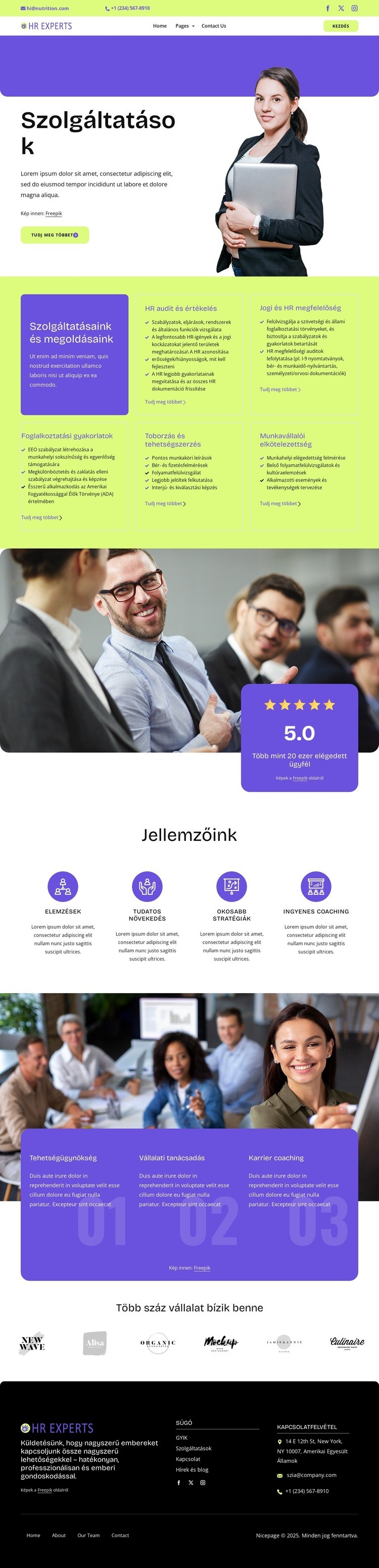 HR services and solutions HTML Sablon