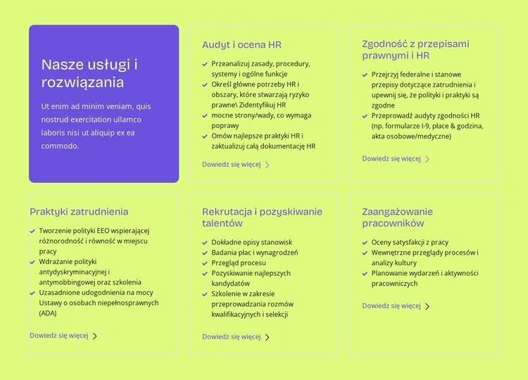 Nasze usługi i rozwiązania Szablon